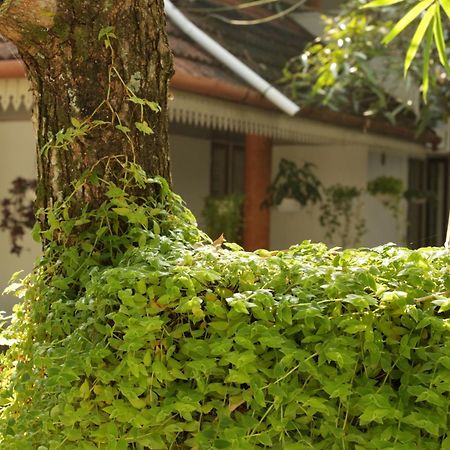 Mi Casa Tu Casa Homestay Kochi Exteriér fotografie